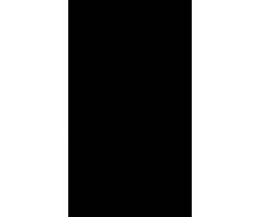 Huawei P8 Lite
